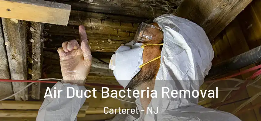  Air Duct Bacteria Removal Carteret - NJ
