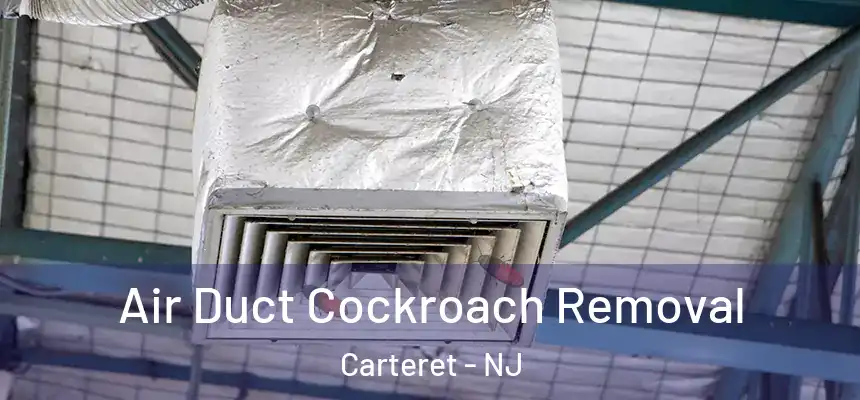 Air Duct Cockroach Removal Carteret - NJ