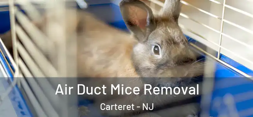 Air Duct Mice Removal Carteret - NJ
