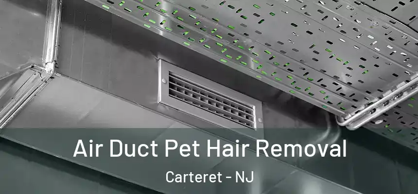  Air Duct Pet Hair Removal Carteret - NJ