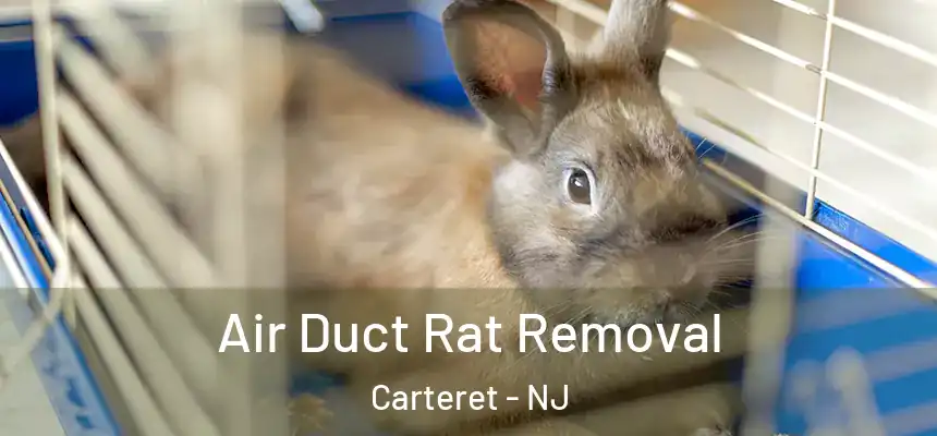  Air Duct Rat Removal Carteret - NJ