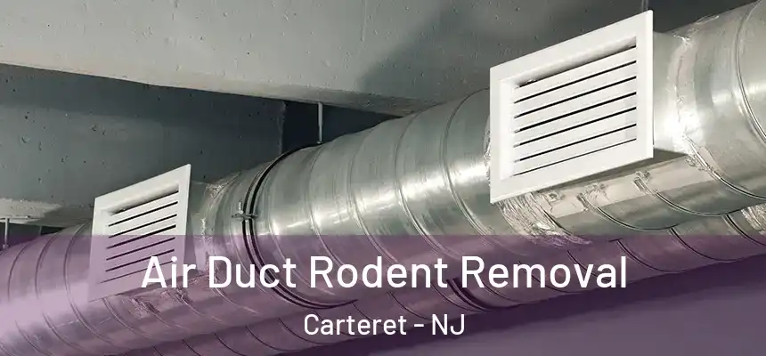  Air Duct Rodent Removal Carteret - NJ
