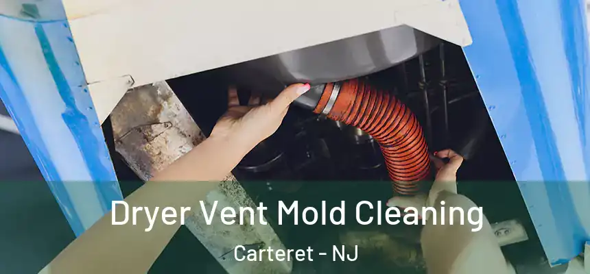  Dryer Vent Mold Cleaning Carteret - NJ