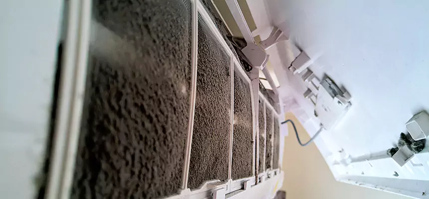 Preventive Air Duct Bacteria Removal in Carteret