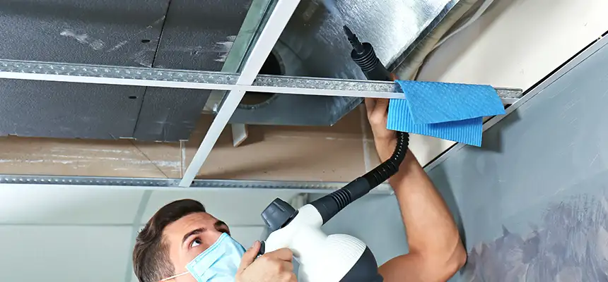 Our Air Duct Rodent Removal Services in Carteret, NJ