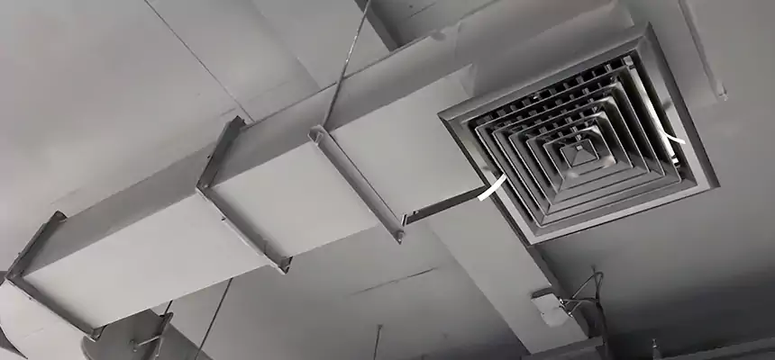 Restorative Allergy Relief Vent Cleaning – Coil, Blower & Housing Detail in Carteret