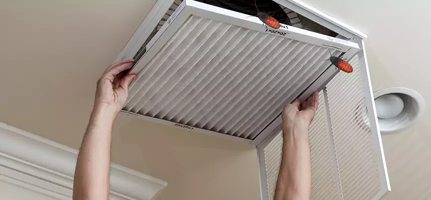 Our Insect Removal from Air Ducts Services in Carteret, NJ