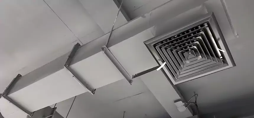 Our Pest Removal From Ducts Services in Carteret, NJ