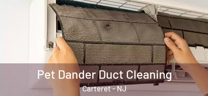 Pet Dander Duct Cleaning Carteret - NJ