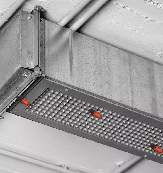 About Air Duct Cockroach Removal in Carteret, NJ
