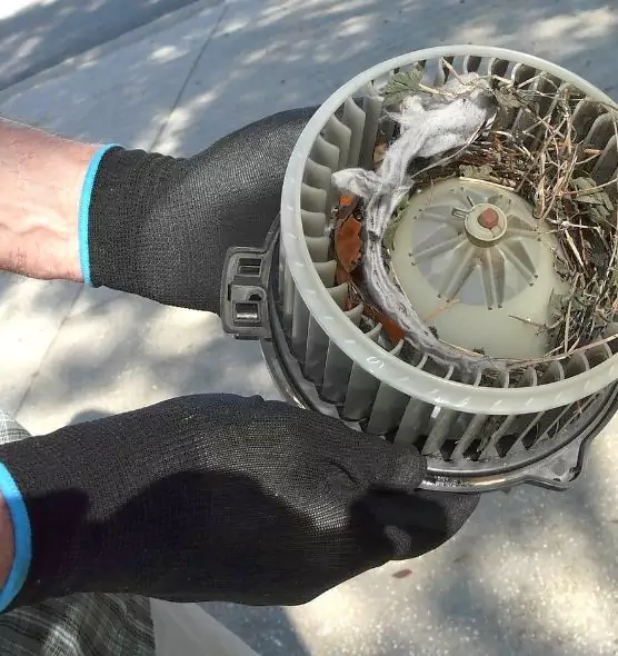 About Air Duct Mice Removal in Carteret, NJ