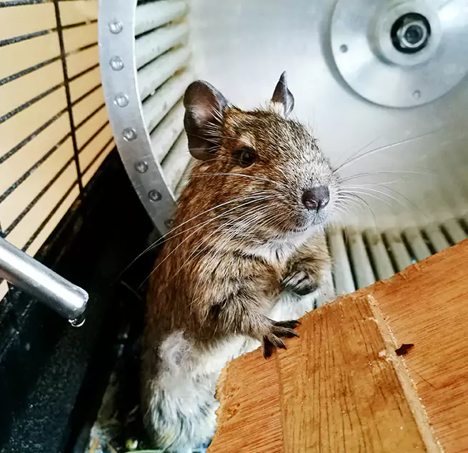 Why Homeowners & Businesses Trust Us Carteret, NJ