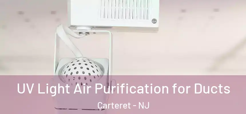  UV Light Air Purification for Ducts Carteret - NJ